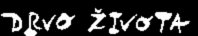 Drvo zivota